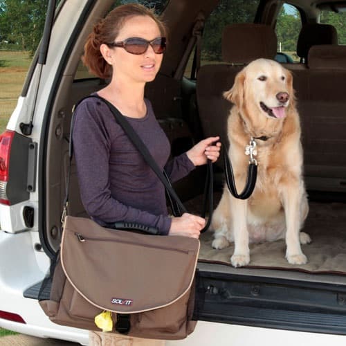Traveling With Your Dog and Solvit Homeaway Travel Organizer Kit