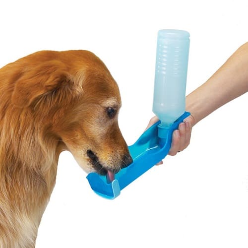 Water Bottle For Your Dog