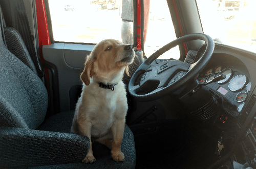 Who is Driving Today