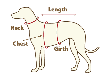 Your Dog Measurements 