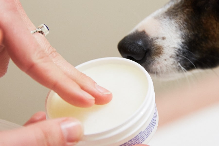 Musher’s Secret Pet Paw Protection Wax Review