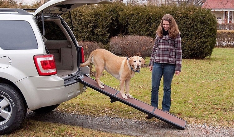having a dog ramp