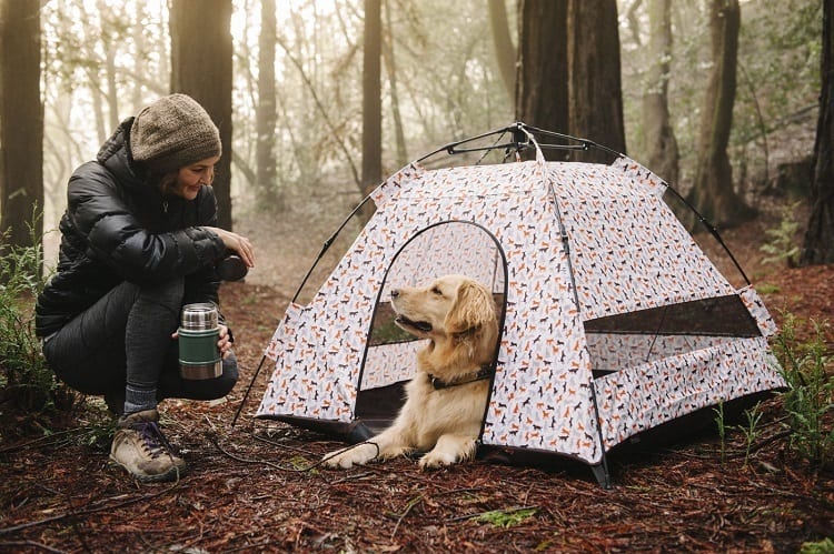 Dog Tent