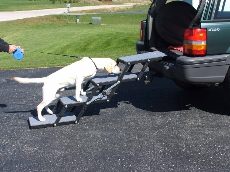 Pet Stairs For Car