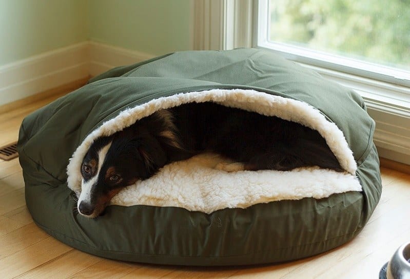 Cozy Othopedic Bed