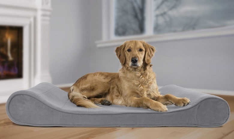 using a orthopedic dog bed