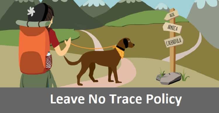 Leave No Trace Policy